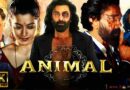Animal (2023) Full Movie Download | Animal Full Movie (2023) Hindi Download